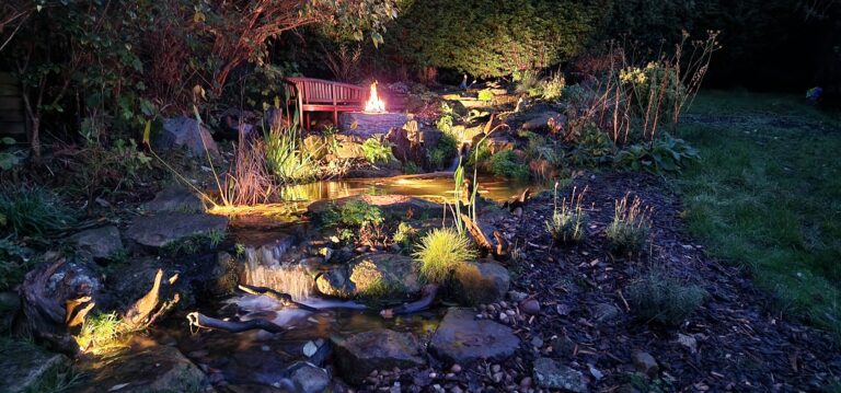 Matt pond night