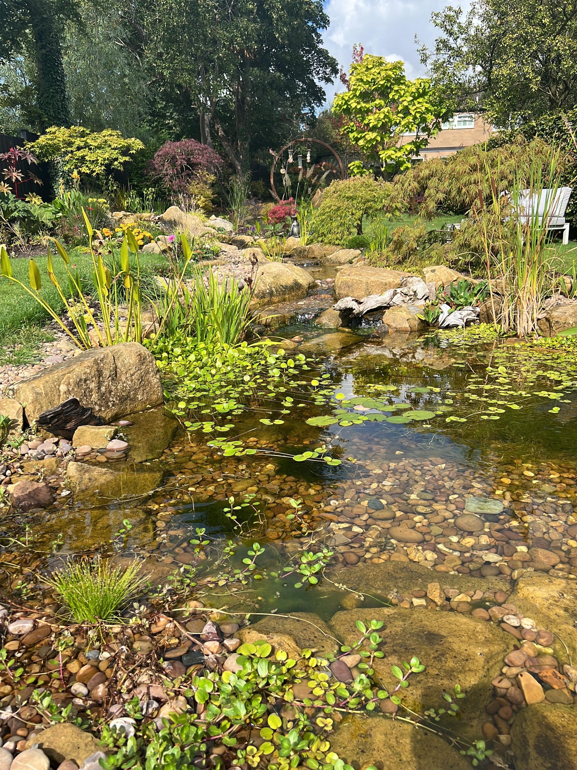 Wildlife Pond